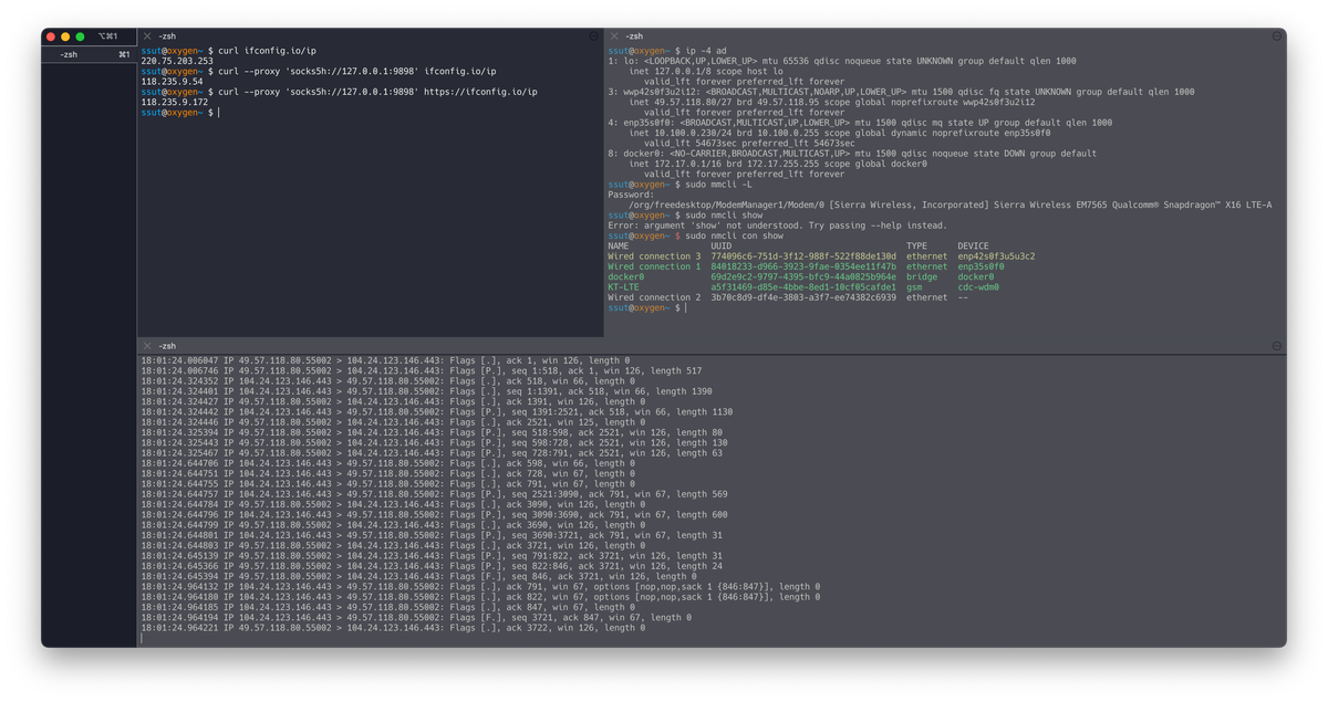 Using Multiple NICs on Linux